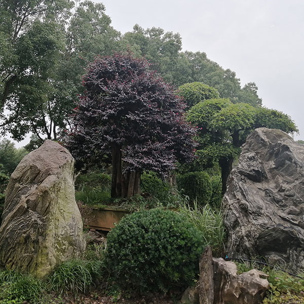 泰山石